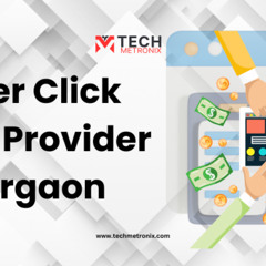 Pay Per Click Service Provider in Gurgaon