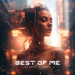 Best Of Me (Remix)