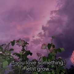 wildflover