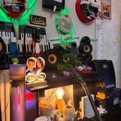 Moviemaker or DIY Artist