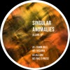 TOKEN142 - Singular Anomalies - Allure EP