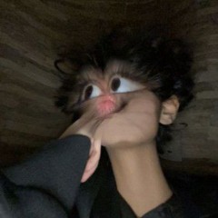 ああ、また迷ってしまった