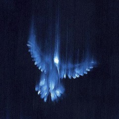 ssss