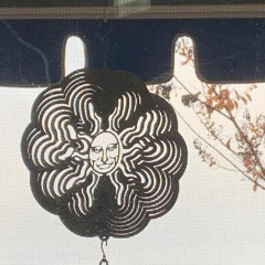 Jellyfish In The Slipstream