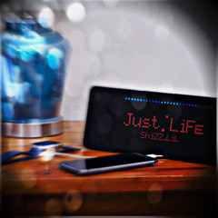 Just Life