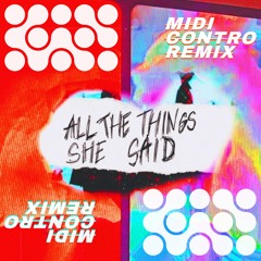 ALL THE THINGZ SHE SAID REMIX