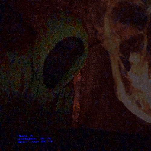 Somethings wrong - Gnawty*-*Dawg FT. RAIN