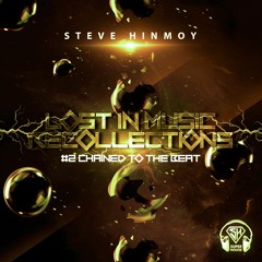 Lost in Music Recollections #2. Chained to the Beat - Steve HinmOy