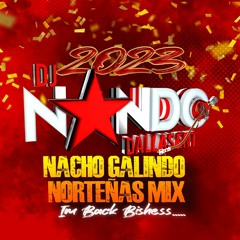 NORTENITAS NACHO GALINDO MIX DJ NANDO 2023