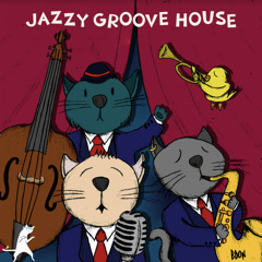 Jazzy Groove House 🌞