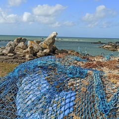 Quand Le Passé Nous Poignarde (Richard Proust Et Alain Bernard)