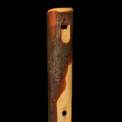 Native American Hybrid Flute - Spruce branch - Key of A