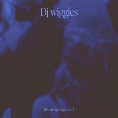 kinetic live 02: Dj wiggles live at open ground [excerpt] 221223