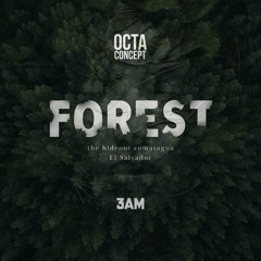 MVVM - OCTACONCEPT FOREST Contest 2025
