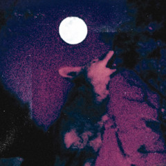 COYOTES (LOST FILE 2019)