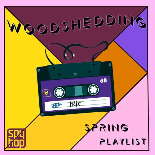 Woodshedding Playlist-Spring 2021