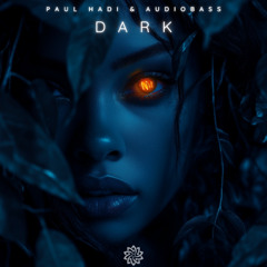 Paul Hadi & Audiobass - Dark (Freedownload)