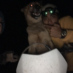 FROZEN KISSES (STONED)