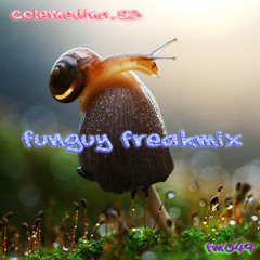 Funguy Freakmix FM049