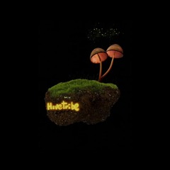 [Chill Space Mix Series 041] Hivetribe - Vseshvit: Under the Magic Mushroom Hat Mix