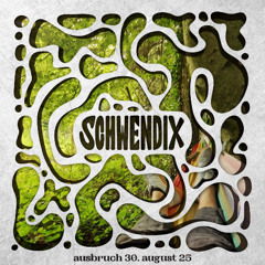 Schwendix * Operation Ausbruch * 30.08.2025