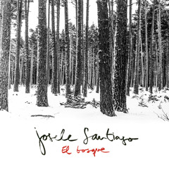 El Bosque (Radio Edit)