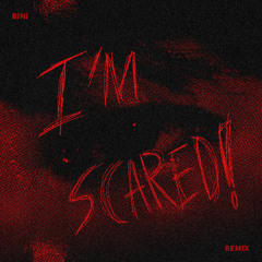 BINi - I'm Scared (Quattro L remix)