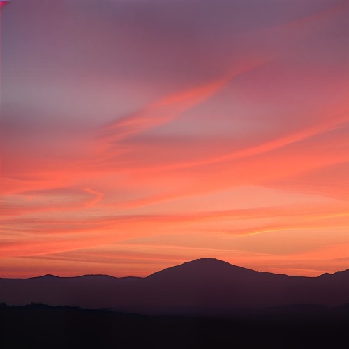 Sunrise (Instrumental Version)