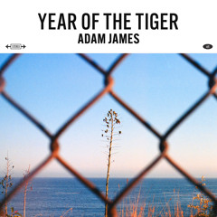 Year of the Tiger