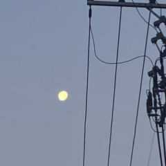 시시콜콜한 이야기(이소라)