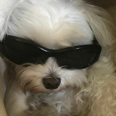 쥔님의노동요