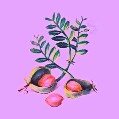 chickbeats [KitchnSoundLab live set]