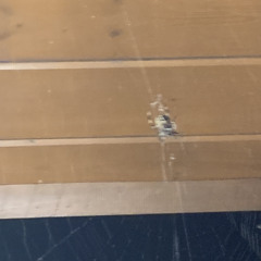 heylog- everything's gonna be okay, i promise (slowed)