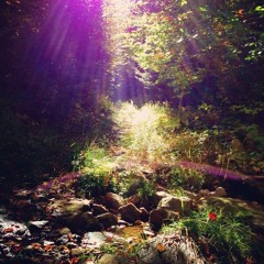 mornin to the evening