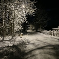 bbands  prod.eddie gianni