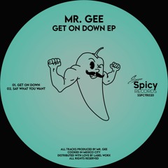 Mr. Gee - Say What You Want [SSPCYR020]