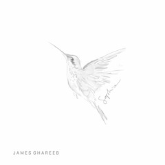 Sophia - James Ghareeb