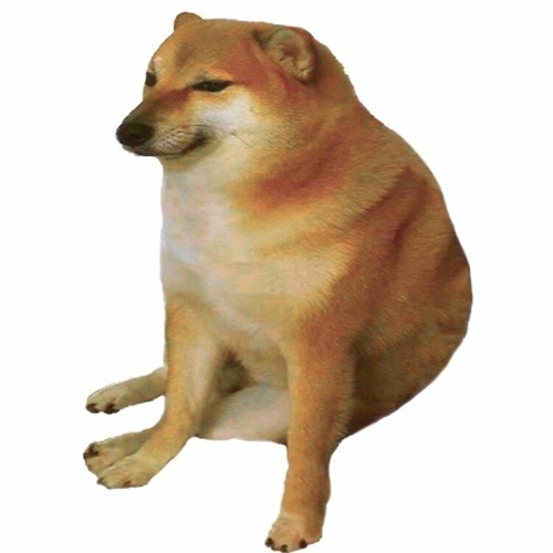 19 2000 but its low quality