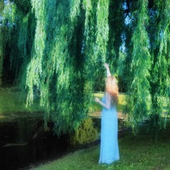 Blue Willow
