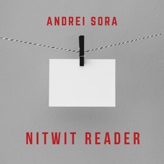 Nitwit Reader