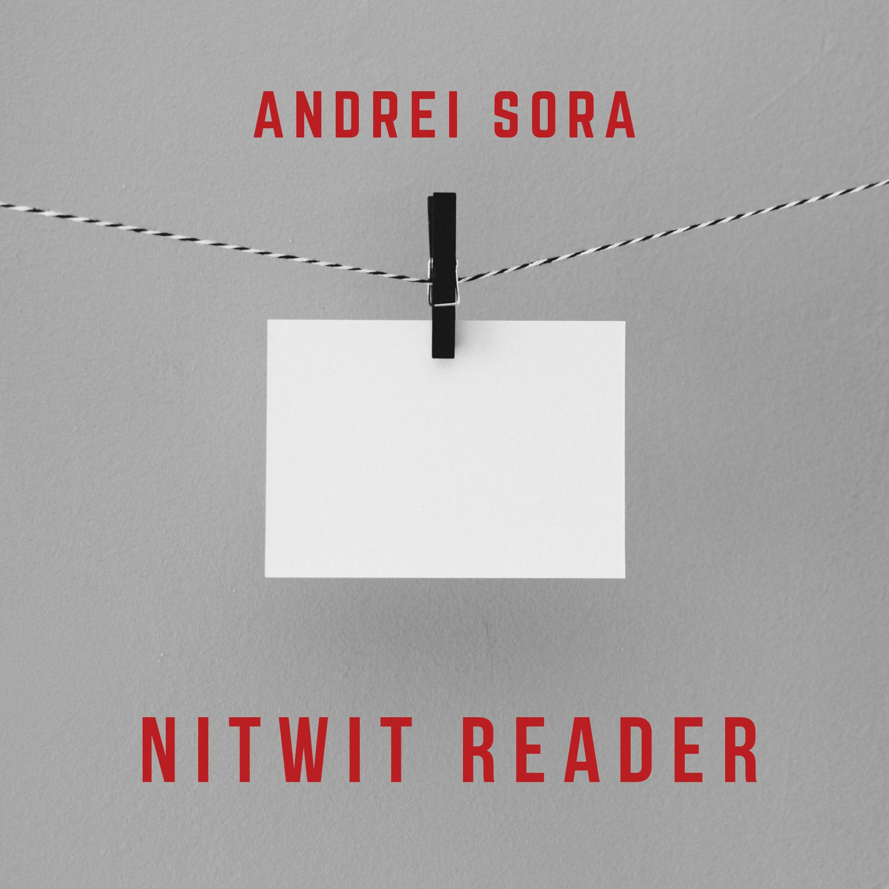 Andrei Sora