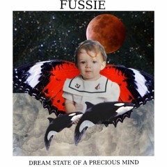 Dream State Of A Precious Mind
