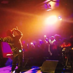 Insanity - MAJ