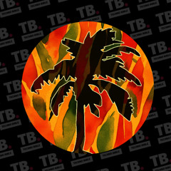 TB Premiere: Jamback - It's Time [Hot Creations]