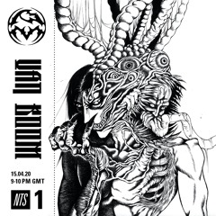 PM NTS - Endgame & Van Boom (15.4.20)