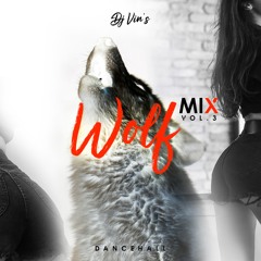 The Wolf  Dancehall Mix Vol 3 - Dj Vin's 2020
