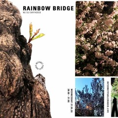 Rainbow Bridge w/ DJ Earthseed 05.20