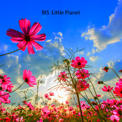 BIS - Little Planet