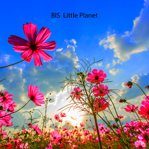 BIS - Little Planet