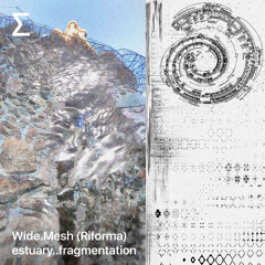 Wide.Mesh (Riforma) – estuary..fragmentation